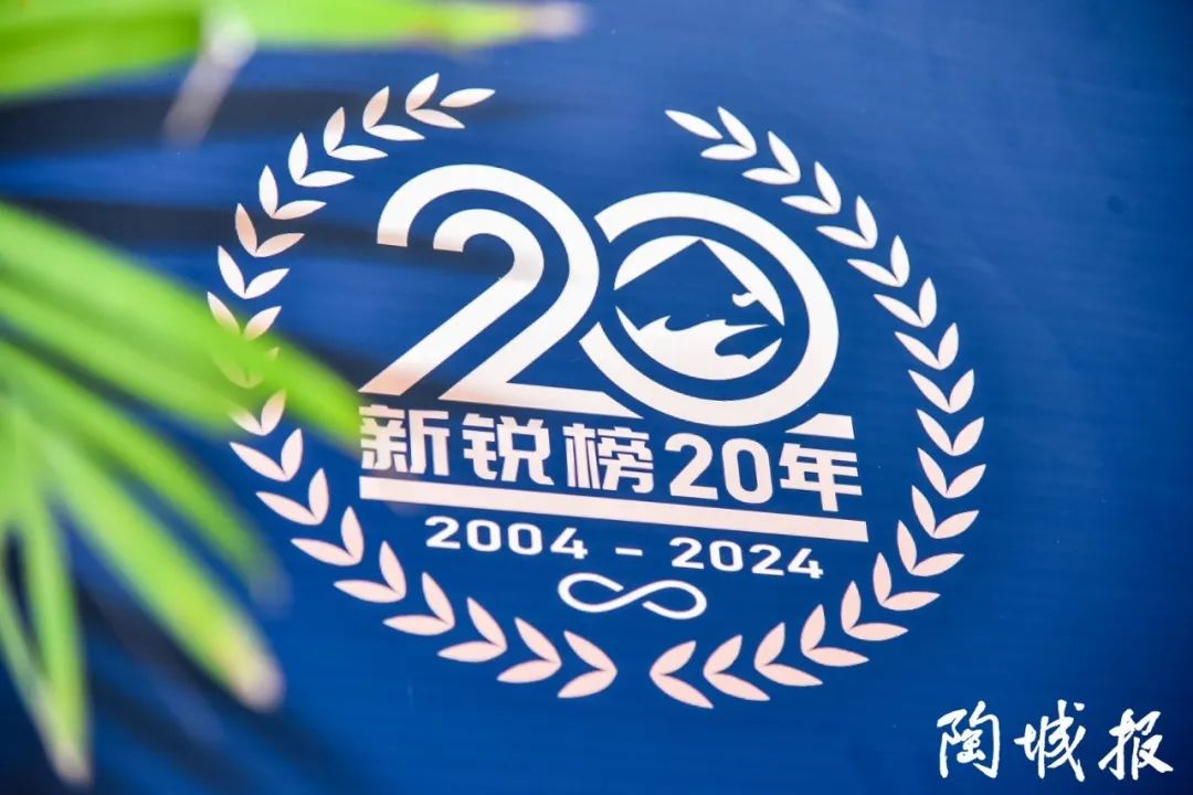 卓越力量，載譽領航！大將軍瓷磚實力斬獲“新銳榜20年卓越品牌”榮譽(圖3)